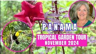  Tropical Garden Tour in Rainy Season, Panama