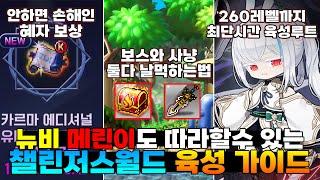 메이플 시작전 최고의 선택 챌린저스 월드 육성 가이드 [1시간]