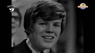 Herman's Hermits - There's A Kind Of Hush  (1967)