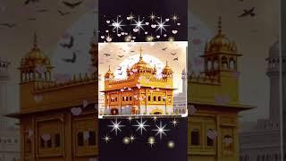 Inside the Gurdwara: A Journey Through Sikh#Spirituality#spiritual journey#sikh spirituality# spirit