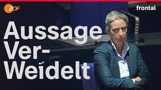 10 JAHRE AFD: Die Gründer packen aus I Spurensuche I frontal