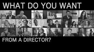 What Do You Want From A Director?