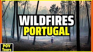 The Devastating Tragedy of Portugal's Wildfires