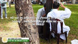 Suy Niệm Lời Chúa, Thứ Bảy Tuần X  Mùa Thường Niên (14/06/2025)
