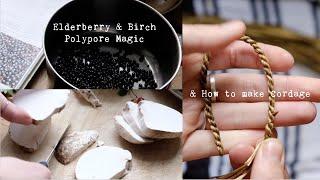 Forager's Diary: Elderberry & Birch Polypore Syrup, Rowan Jelly & How to Make Cordage