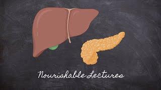 Liver and Pancreas | Part 5 Foundations in Digestion | Nourishable Macronutrients Lecture 8