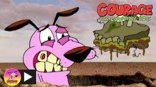Courage The Cowardly Dog | Cursed Book | Cartoon Network