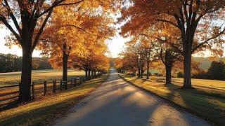 Beautiful Peaceful Autumn 2024  For three months i listened only to this music ~ Music therapy