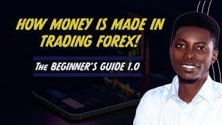 Forex Trading  Beginners' Guide | #1 Newbie Orientation.