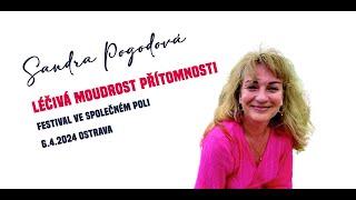 Sandra Pogodová - Léčivá moudrost přítomnosti