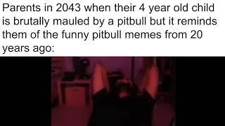 Pitbull (meme)