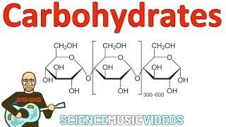 Carbohydrates