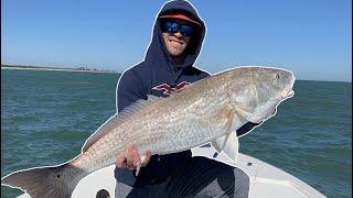 This Inlet is KNOWN for HUGE FISH | Sebastian Inlet Fishing