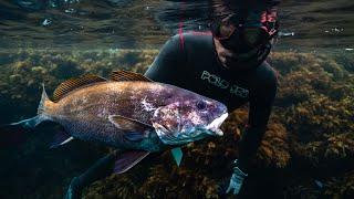 The BLACK SEA in Bulgaria is EPIC for Spearfishing Not what I expected!