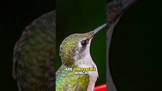 Birds are Dinosaurs?!