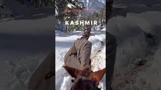 Explore the Enchanting Valley of Kashmir With our Exclusive Trip Package. #kashmirtrip #ytshorts