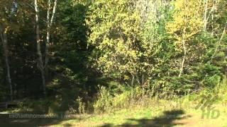 Eastern Prince Edward Island Real Estate Murray Harbour 20 Acres Land for sale east of Charlottetown