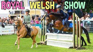 ROYAL WELSH HORSE SHOW WITH POPCORN AND ROLO!