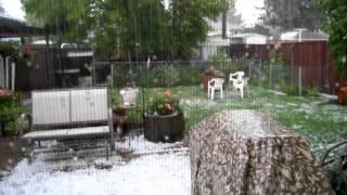 hailcalgaryaug52011.AVI