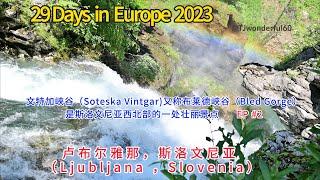 Europe 欧洲 - Ljubljana ,Slovenia  卢布尔雅那, 斯洛文尼亚 -文特加峡谷Soteska Vintgar 是斯洛文尼亚西北部的一处壮丽景点 EP#2