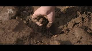 Study Archaeology at UCLan