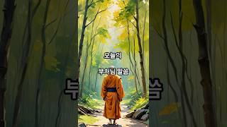 2월 1일 오늘의 부처님 말씀. #불교 #명언 #힐링 #명상