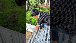 Ném bóng khổng lồ 
