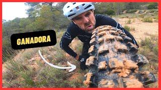 ¿Cuál es Mejor?  CONTINENTAL KRYPTOTAL Vs MAXXIS ASSEGAI