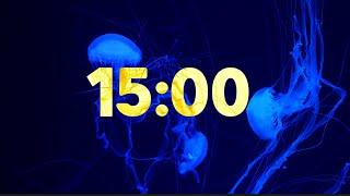 15 Minute Beautiful Jellyfish Timer with Soothing Music