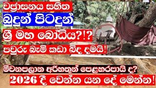 හිරිවඩුන්න බෝධි පරිශ්‍රය විනාශ කිරීම නිසා ලංකාවටත් මහා විනාශයක් වෙයිද?| සත්‍ය වජ්‍රාසනයේ පෙළහර මෙන්න