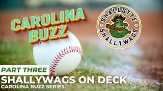 Shallywags On Deck Part 3: Baseball and Tech Helping Players and Families