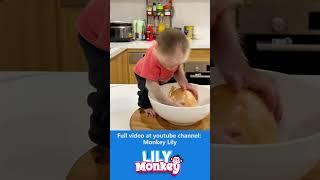 Monkey Lily's funny reaction when dad cuts onions