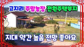 571 고지리주말농장매매 농막이 있는 기계주말농장매매 지대가 약간 높아 멀리 전망을 볼 수 있는 포항주말농장매매 도로 수도 전기가 설치되어 있는 포항전원주택부지매매 포항부동산