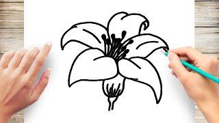 How to Draw a Lily flower