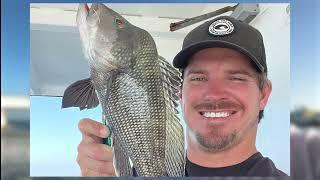 Fishing Report 11-1-2024 | Hogfish are Back NearShore! Fishing is Hot Offshore | Hubbard's Marina