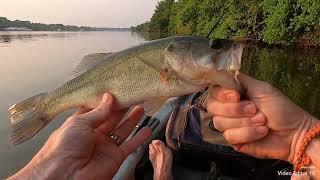 kayak bass fishing old hickory lake(drakes creek area)