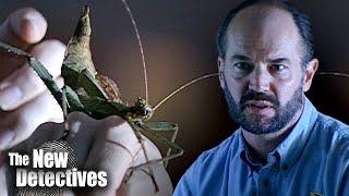 The Study Of Entomology | The New Detectives