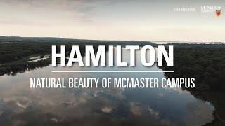 Natural beauty of McMaster University's campus in Hamilton, Ontario, Canada