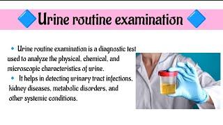 Urine routine Examination|| physical chemical and microscopic examination|| ️