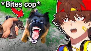 When Police Dogs Turn On Their Owners | Kenji Reacts