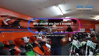 "Why You Should Buy a Scooter from Wild Hogs Scooters | Winter Garden, FL"