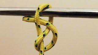 Learn How To Tie A Figure 8 Hitch Knot - WhyKnot