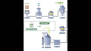 True Hopping extraction in your brewing process