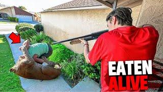 1 Hour of Deadly Animals Invading Neighborhoods & Eating People Alive!