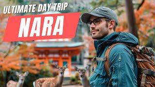 Ultimate Day Trip to Nara, Japan | Day Trip from Osaka