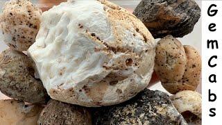 Spectacular Arizona Agate Cut Open to Reveal What is Hiding Inside 12 06 24 1