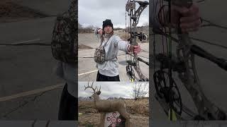 Fixed broadhead, or mechanical  #shortvideo #shortsfeed #shorts