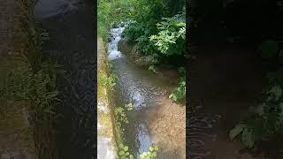 #краса #швидкі потоки в карпатах#чиста вода#nature #природа