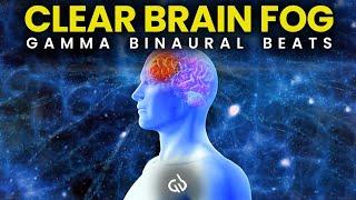 Clear Brain Fog: Gamma Binaural Beats for Focus & Mental Clarity