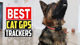 Top 5 Best Cat GPS Trackers of 2024